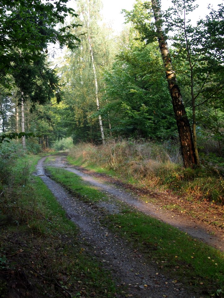 Todtenrode Boeser Kleef (10)