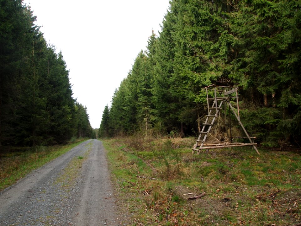 Todtenrode Hochsitz (3)
