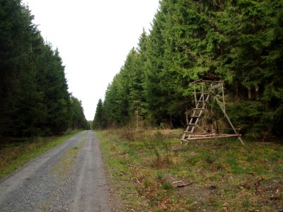 Todtenrode Hochsitz (3)