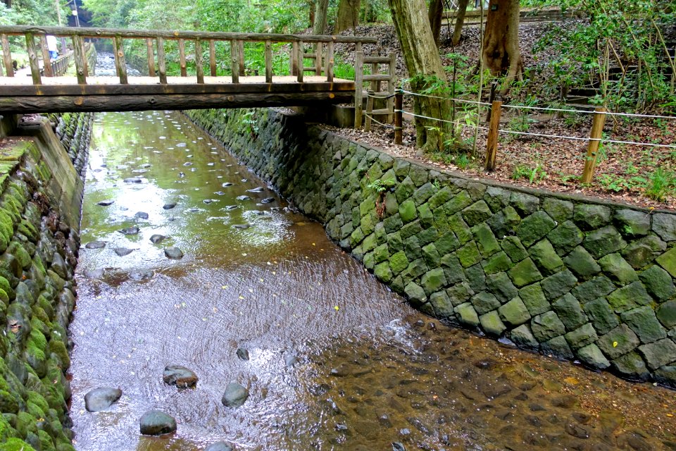 Todoroki Valley - Tokyo, Japan - DSC09566