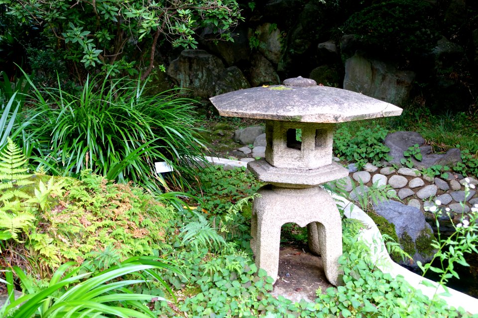 Todoroki Japanese Gardens - Tokyo, Japan - DSC09522