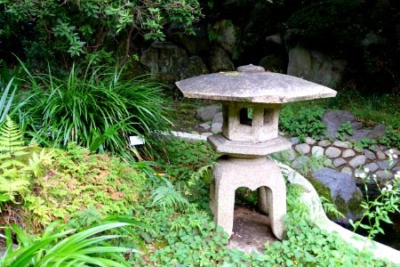 Todoroki Japanese Gardens - Tokyo, Japan - DSC09522