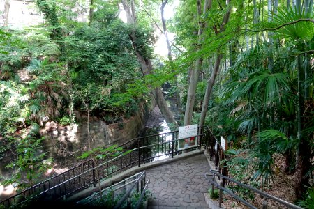Todoroki Valley - Tokyo, Japan - DSC09424