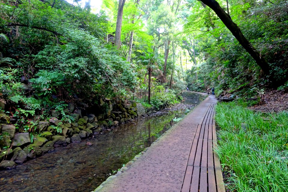 Todoroki Valley - Tokyo, Japan - DSC09598