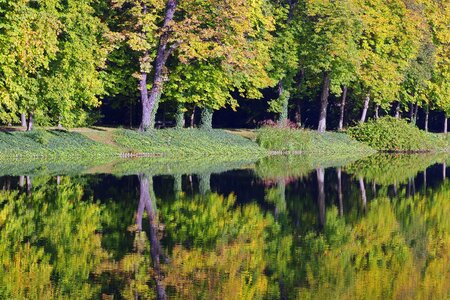 Reflection green autumn