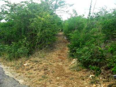 Tixpéhual, Yucatán (06)
