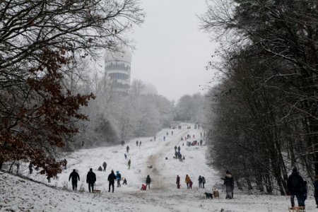 Toboggan run Teufelsberg with snow 2021-01-03 05 photo