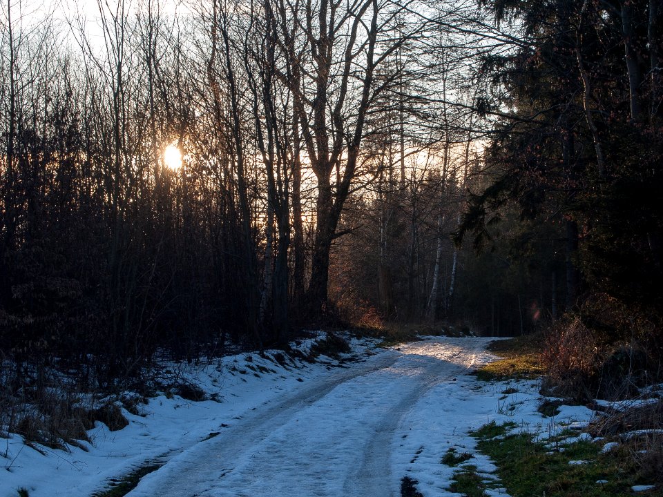 Todtenrode Wald Weg (5)