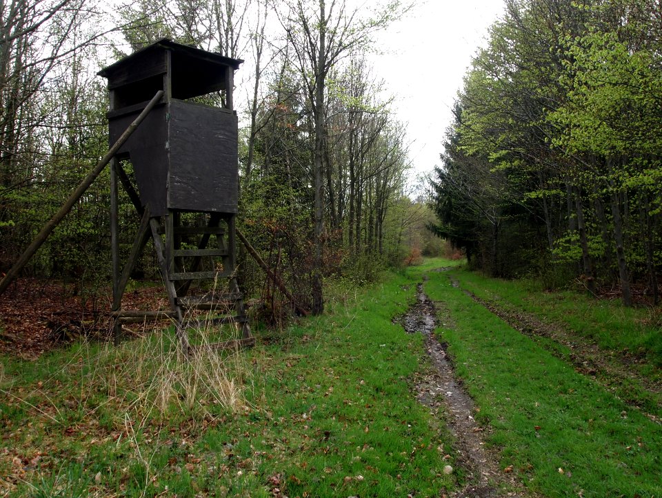 Todtenrode Hochsitz (2)