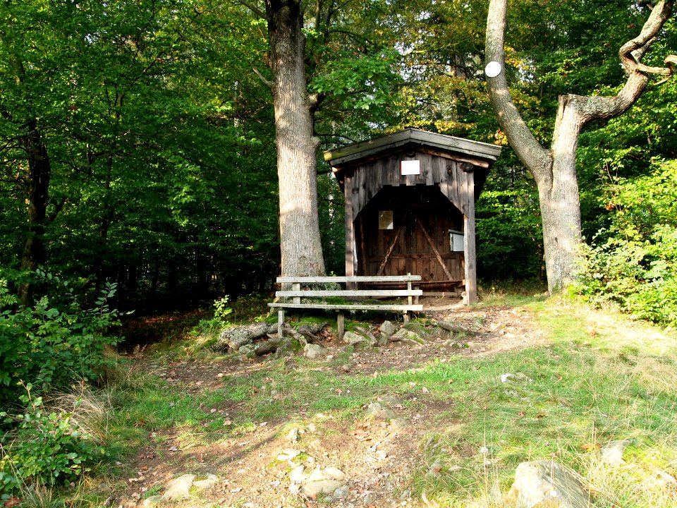 Todtenrode Boeser Kleef (8)