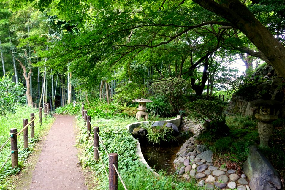 Todoroki Japanese Gardens - Tokyo, Japan - DSC09516
