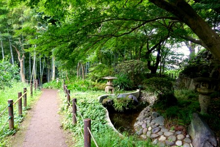 Todoroki Japanese Gardens - Tokyo, Japan - DSC09516