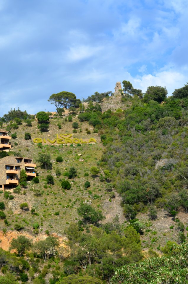 Tossa de Mar, Agulla de Pola (7)