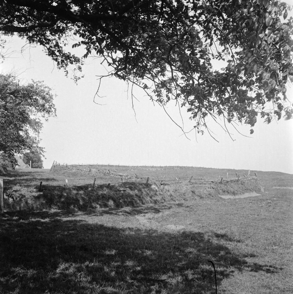 Tourisme op Texel, Bestanddeelnr 901-7886