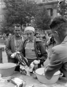 Tour de France , Wout Wagtmans en Kees Pellenaars, Bestanddeelnr 906-5829
