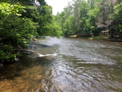 Toccoa River in Fannin County, June 2017 photo