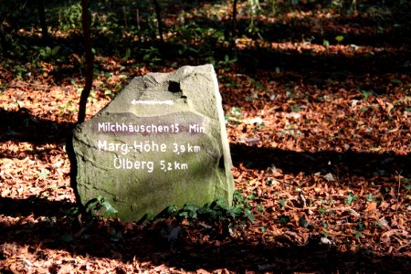 Tour Drachenfels 2011-10-16-2175