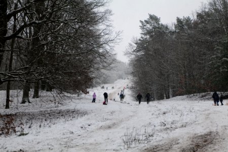 Toboggan run Teufelsberg with snow 2021-01-03 01 photo