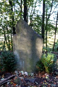 Tour Drachenfels 2011-10-16-2270