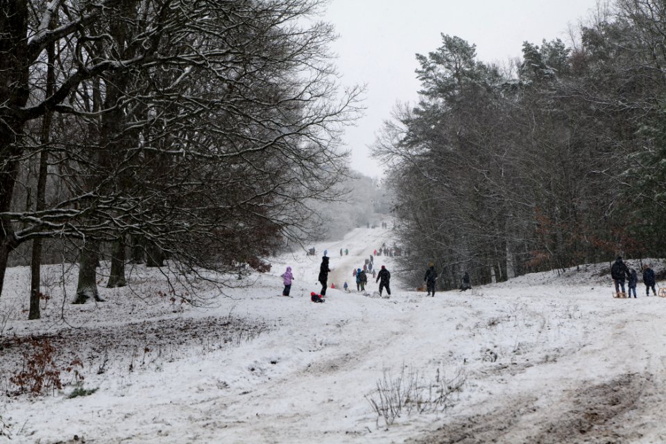 Toboggan run Teufelsberg with snow 2021-01-03 02