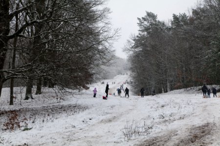 Toboggan run Teufelsberg with snow 2021-01-03 02