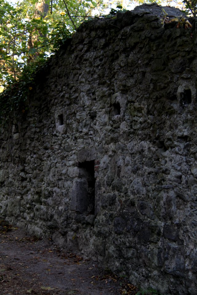 Tour Drachenfels 2011-10-16-2260