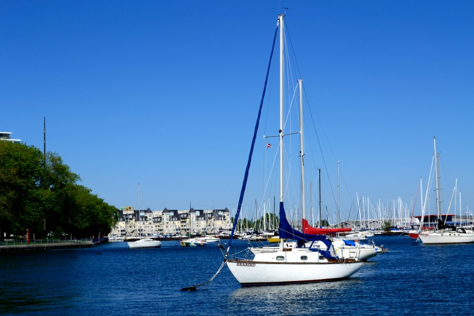 TorontoWaterfrontAndSailboats2