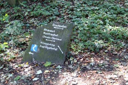 Tour Drachenfels 2011-10-16-2181