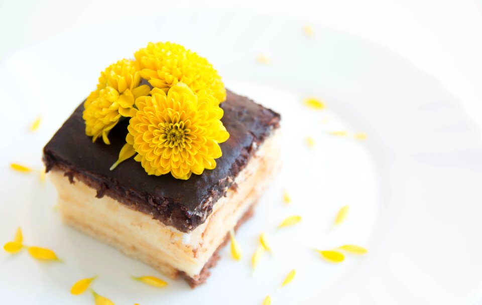Cake chocolate krémeš