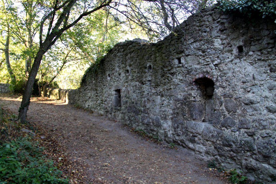 Tour Drachenfels 2011-10-16-2259