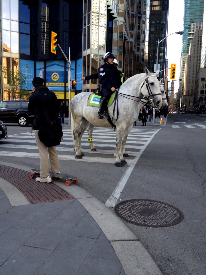 TorontoPoliceHorseback
