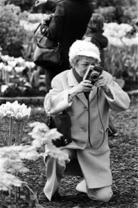 Touristen fotograferen in Keukenhof, Bestanddeelnr 928-5145