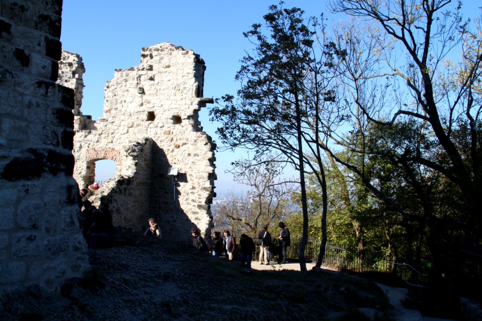Tour Drachenfels 2011-10-16-2254
