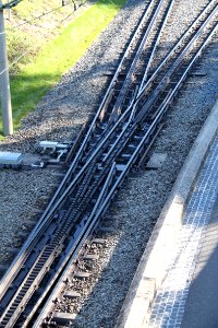 Tour Drachenfels 2011-10-16-2294