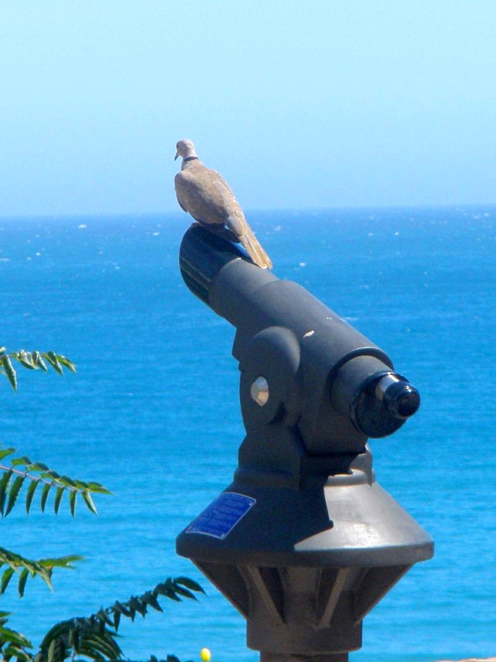 Torremolinos 03
