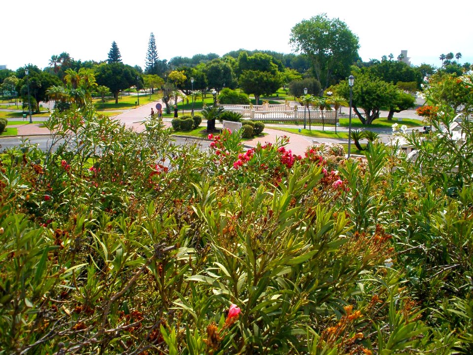Torremolinos - Parque de la Batería 18