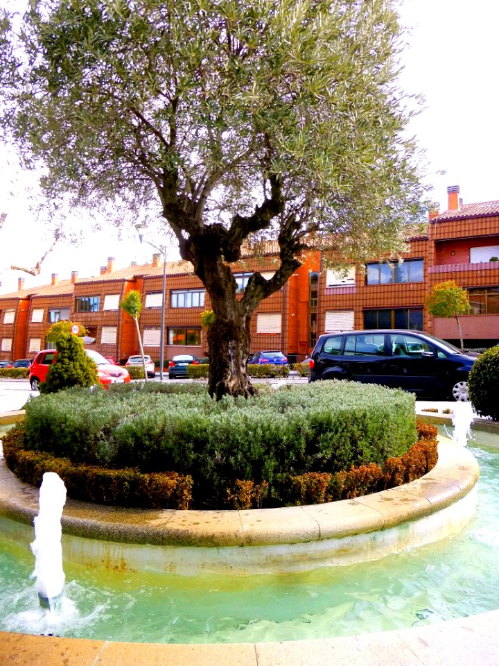 Torrelodones - Fuente 3