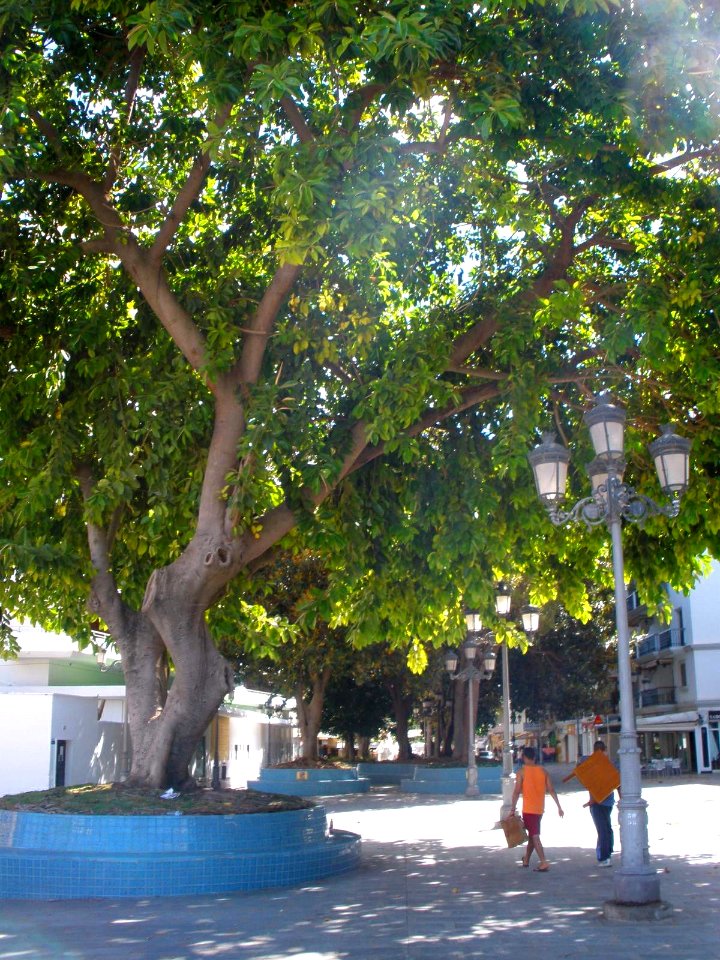 Torremolinos - Plaza de la Unión Europea 1
