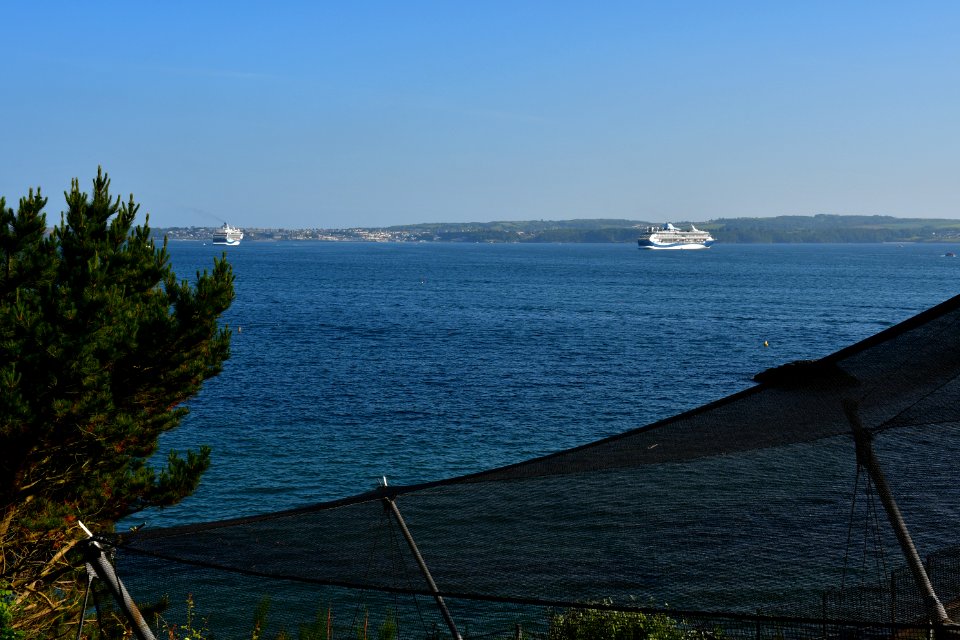 Torquay (2021-06-12) 08