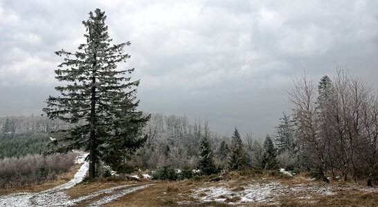 Magura wilkowicka spring the path photo