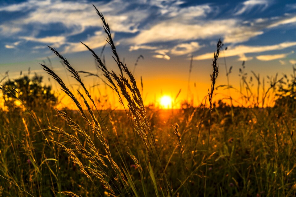 Nature landscape sun