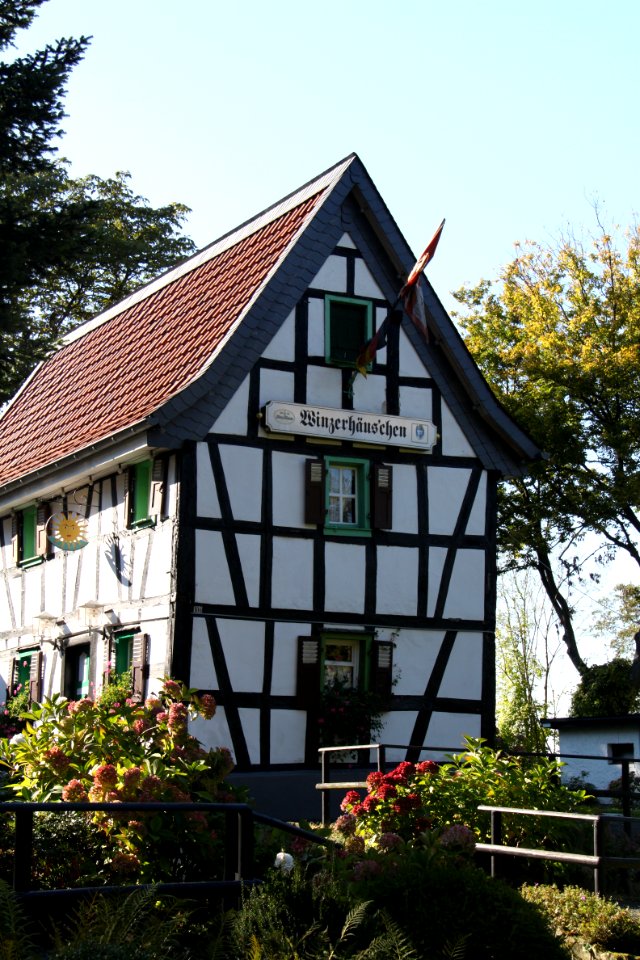 Tour Drachenfels 2011-10-16-2304