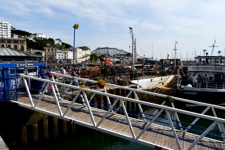 Torquay 2020-08-12 40