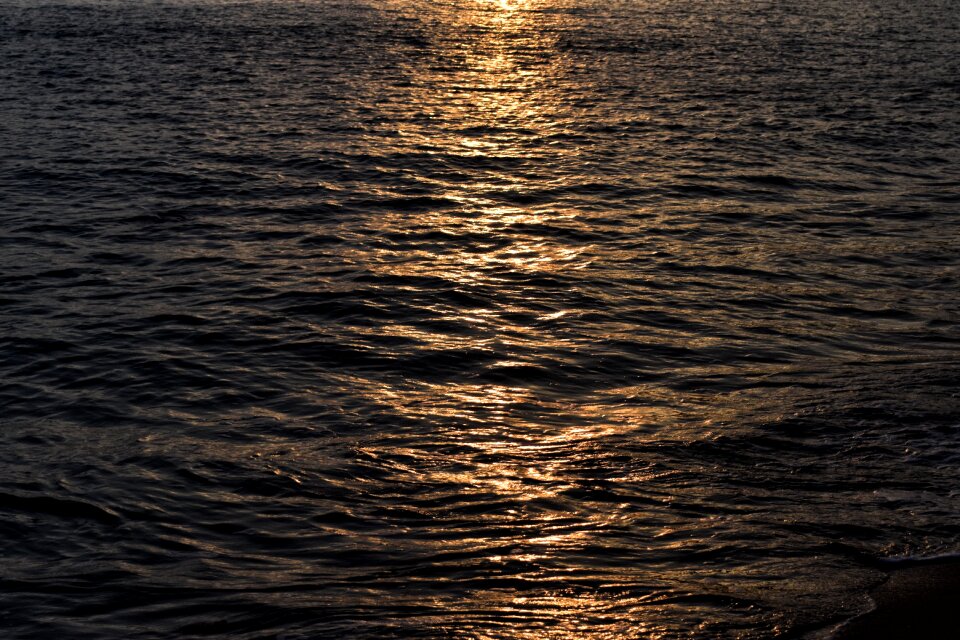 Water nature light