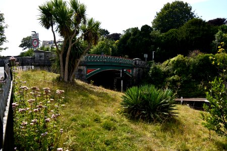 Torquay 2020-08-12 02