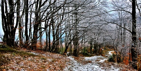 Magura wilkowicka spring the path