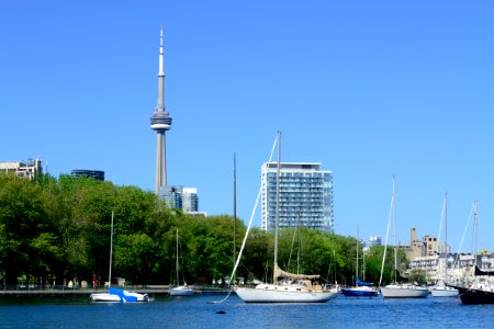 TorontoWaterfrontAndSailboats3 photo