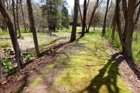 Towpath - Farmington Canal Aqueduct - Farmington, CT - DSC02190