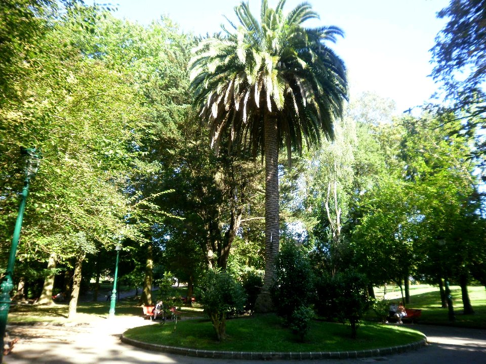Torrelavega - Parque Manuel Barquin 1