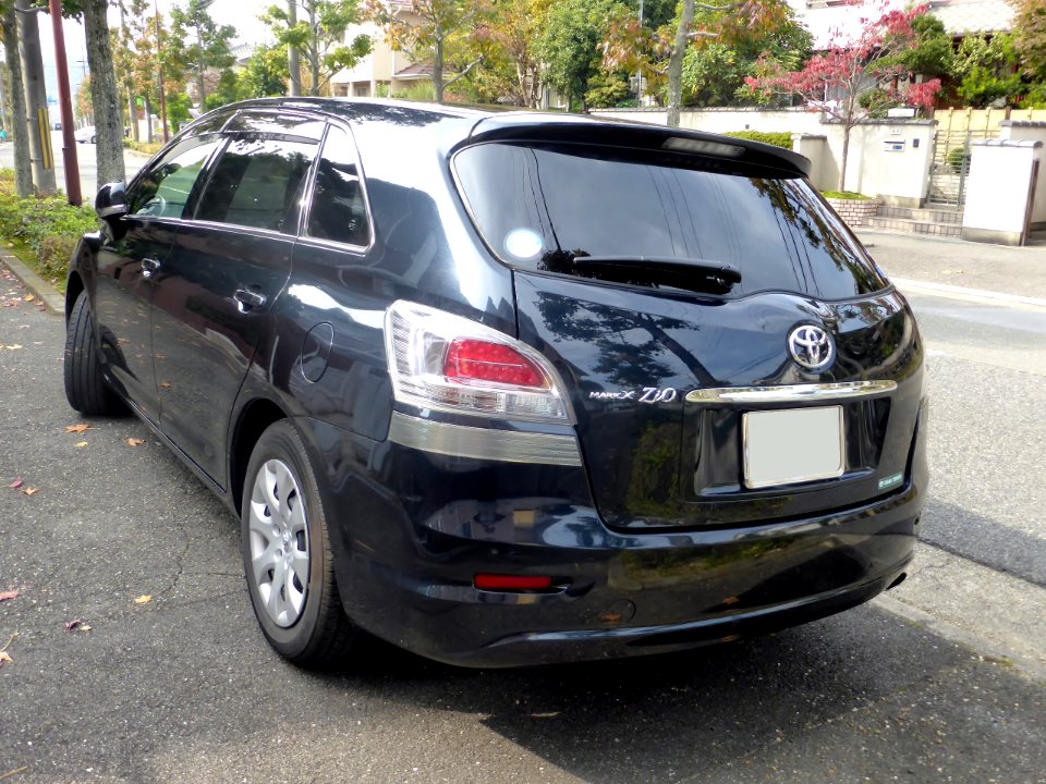Toyota MARK X ZiO 240"Five Style" (DBA-ANA10) rear